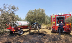 Muğla’da yangınların yüzde 69’u insan kaynaklı