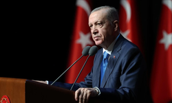 Cumhurbaşkanı Erdoğan, Litvanya Başbakanı Sinkevicius ile görüştü