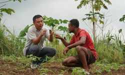 Güney Afrika tarımında Çin işbirliği yeni fırsatlar yaratıyor