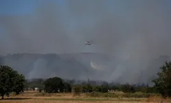 Bursa'nın Mudanya ilçesinde yangın!