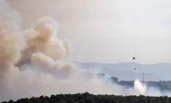 Kocaeli'de çıkan orman yangını kontrol altına alındı