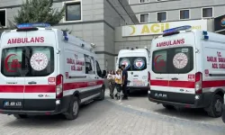 Van'da göle giren 2 kardeş hayatını kaybetti