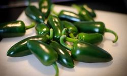ABD'de salmonella alarmı: Jalapeno biberlerinden yüzlerce kişi hastalandı