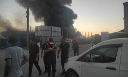 Bolu’da geri dönüşüm deposunda yangın: Patlama sesleri duyuluyor