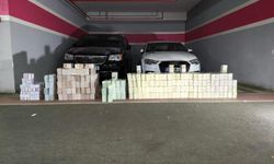 ‘Vanlı Kara Haydar’ın iki aracından 934 milyon liralık döviz çıktı