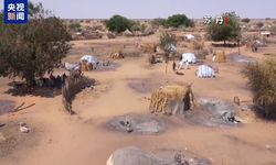 Çin’den Sudan için Afrika arabuluculuğuna destek çağrısı