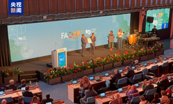 Çinli araştırma enstitüsüne FAO Başarı Ödülü