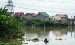 Vietnam'da sel ve heyelana karşı ordu görevlendirildi