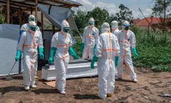 Nijerya'da ilk Ebola virüsü vakası tespit edildi