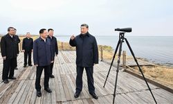 Xi'den ekolojik koruma mesajı: Yeşil kalkınma yolu kararlılıkla izlenmeli