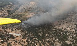 Muğla'da makilik ve tarımsal alanda yangın çıktı