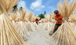 Çin'de "plastik yerine bambu kullanma" eylem planı başlatıldı