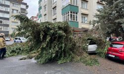 İstanbul Valiliği'nden fırtına açıklaması