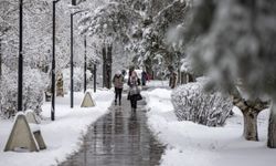 Erzurum'da okullar tatil