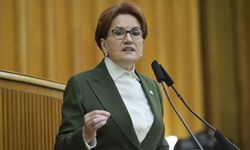 Meral Akşener hakkında suç duyurusu