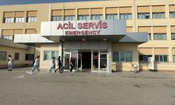 Acil Servis analizi: En çok kimler ne için başvuru yapıyor?