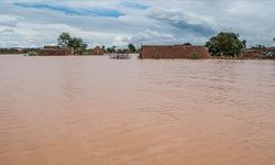 Kenya Kızılhaçından acil müdahale çağrısı