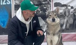 'Başakşehir'deki aç kurtlar' bakın ne çıktı!