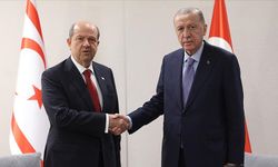 Cumhurbaşkanı Erdoğan, Tatar ile görüştü