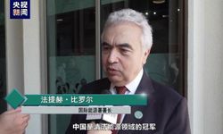 IEA Başkanı Fatih Birol: Çin, temiz enerji teknolojilerinde dünya lideri