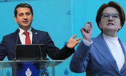 Akşener talep etti! İYİ Parti'de bir istifa daha