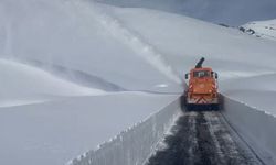 Şırnak Valiliğinden buzlanma uyarısı