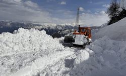 Doğu Karadeniz ve Doğu Anadolu için çığ uyarısı