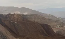 Çevre Bakanlığı'ndan açıklama: 'Şu an için kirlilik yok'