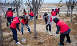 Çin’de geçen yıl 4 milyon hektarlık alan ağaçlandırıldı