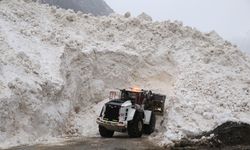 Hakkari-Çukurca kara yolu kapandı