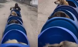 Felçli köpekler için tren yaptı
