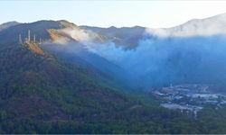 Marmaris'te orman yakan sanığın cezası belli oldu