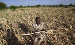 Çin'den Afrika ülkelerine acil gıda yardımı