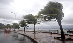 Meteoroloji uyardı: Batıda lodos, doğuda çığ!