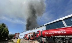 Şanlıurfa'da tekstil fabrikasında yangın 