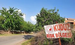 Hatay'da kuduz vakası: 2 mahalle karantinaya alındı