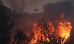 Yunanistan'da çıkan orman yangını devam ediyor