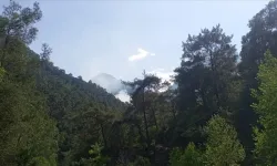 Antalya'daki orman yangını kontrol altına alındı