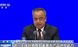 Xinjiang'da her 102 çocuk için bir kreş