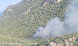 Antalya'da orman yangını