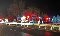 Antalya'da ormanlık alanda yangın