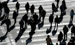 2024 yılı ilk çeyrek işsizlik rakamları açıklandı