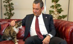 Özgür Özel paylaştı: CHP'nin kedisi Şero'dan güzel haber