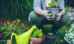 Araştırma: Bahçe işleriyle uğraşmak uyku kalitesini artırıyor