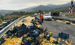 Limon yüklü kamyon devrildi: 6 yaralı 