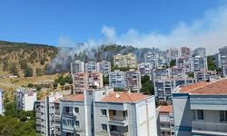 İzmir'de üç ilçede orman yangını