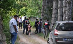 Sivas'ta arazide parçalanmış erkek cesedi bulundu