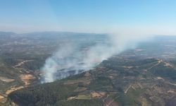 Bergama'daki orman yangını kontrol altında