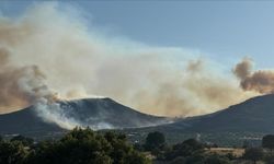 Uşak'ta orman yangınına müdahale ediliyor