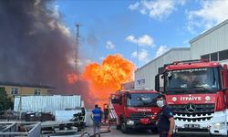 Kocaeli'de boya fabrikasında yangın